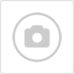 Τσιούτσιος